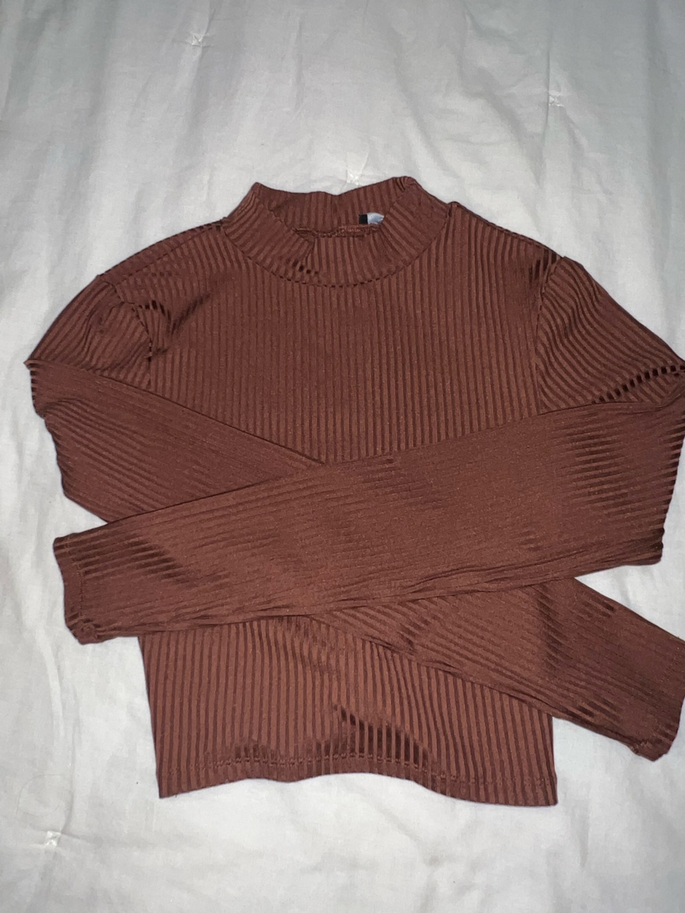 Francesca’s Ribbed Mock Neck Sweater in Brown